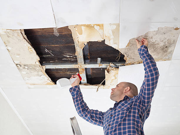 Best Crawl Space Mold Remediation  in Indiana, PA